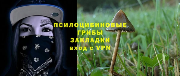 дмт Белокуриха