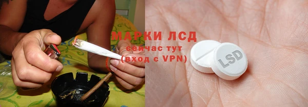 дмт Белокуриха