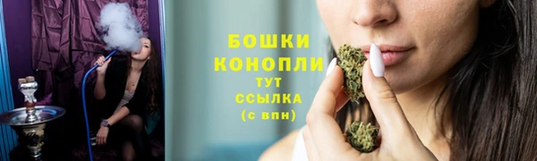 дмт Белокуриха